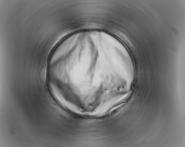 X0000113911228200910151411