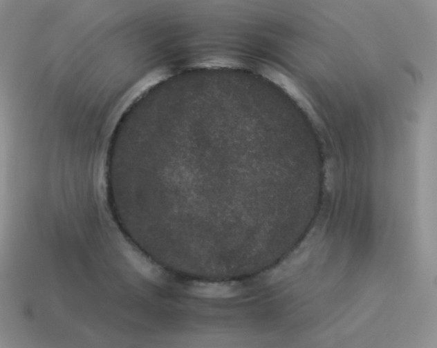 X0000113911229200910151411