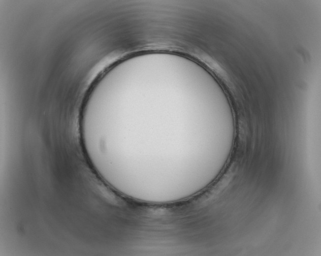 X0000113911230200910151411