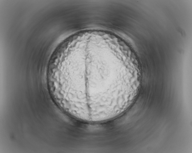 X0000113911231200910151411