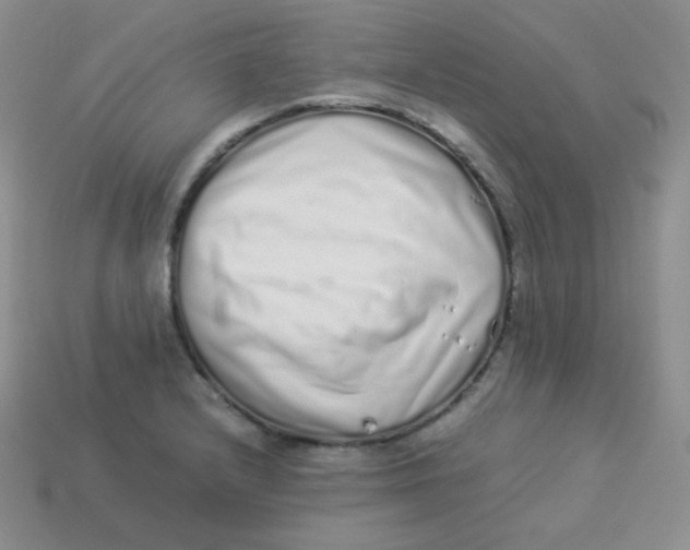 X0000113911232200910151411