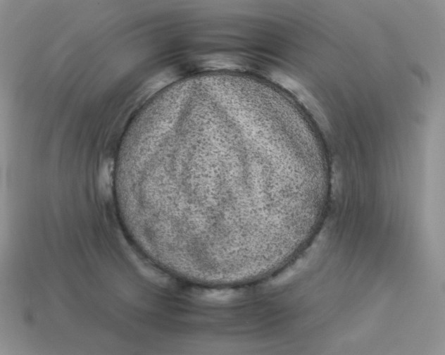 X0000113911233200910151411