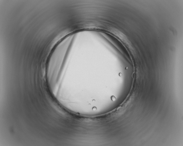 X0000113911234200910151411