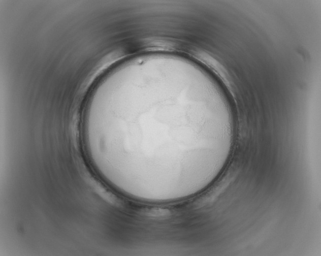 X0000113911235200910151411