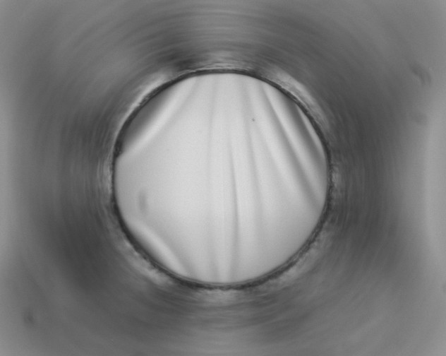 X0000113911236200910151411