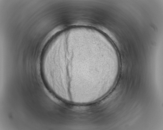 X0000113911237200910151411