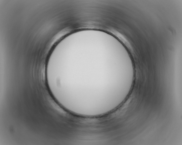 X0000113911238200910151411