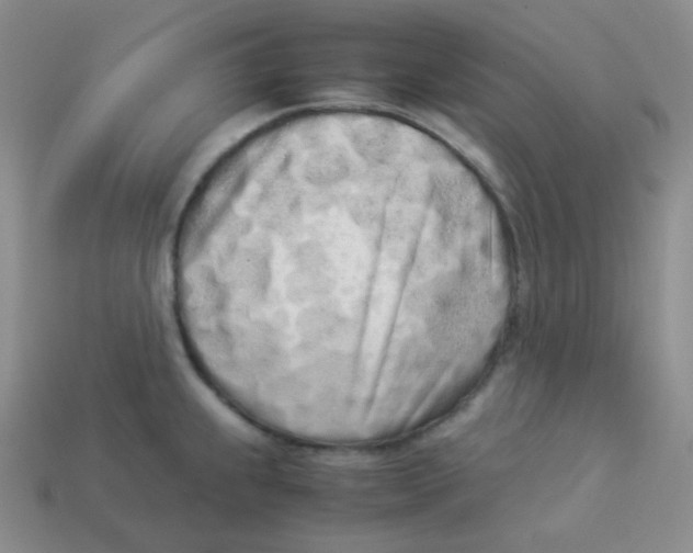 X0000113911239200910151411