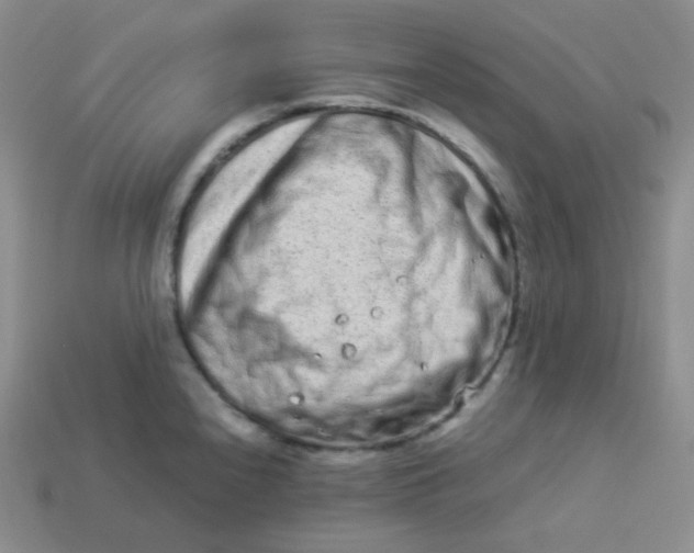 X0000113911240200910151411