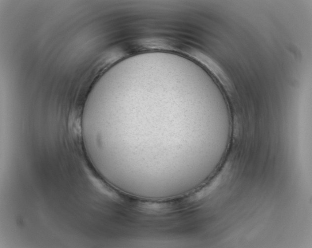 X0000113911241200910151411