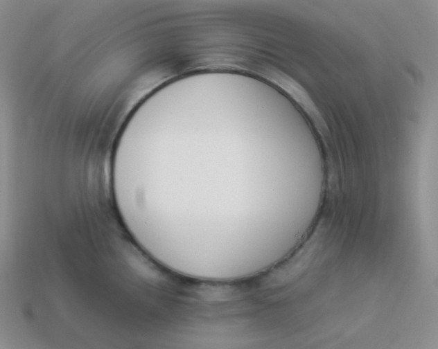 X0000113911242200910151411