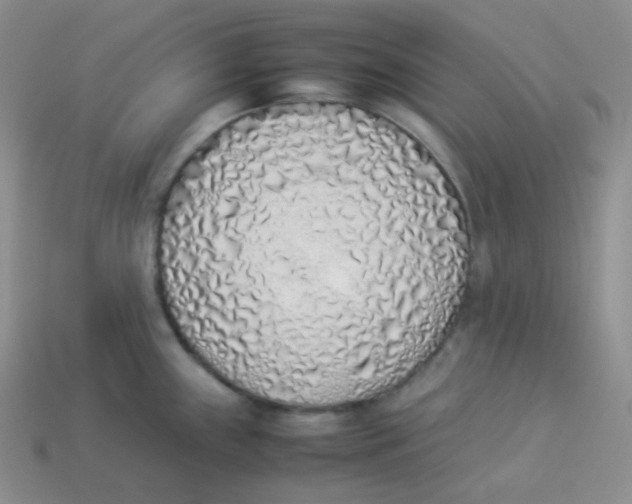 X0000113911243200910151411