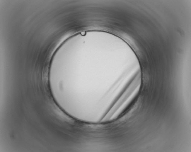 X0000113911244200910151411