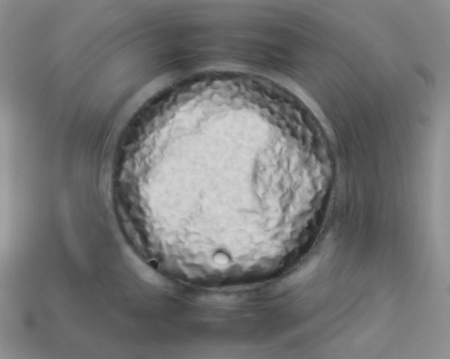 X0000113911245200910151411