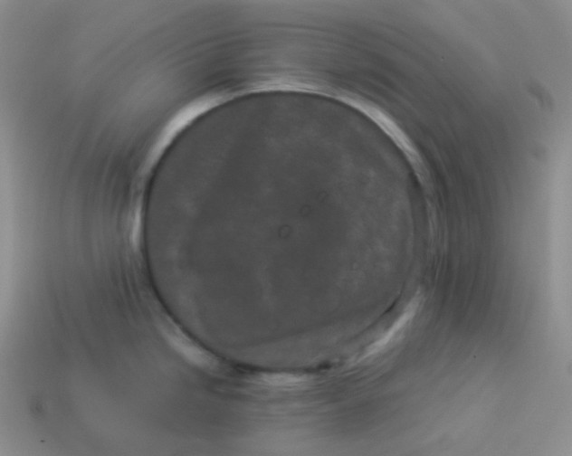 X0000113911246200910151411