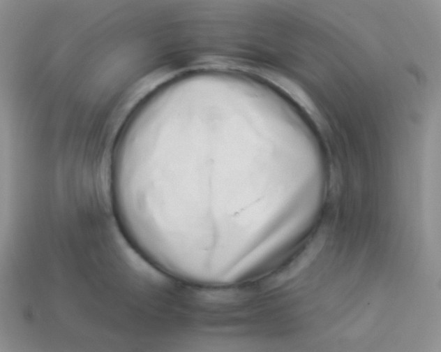 X0000113911247200910151411