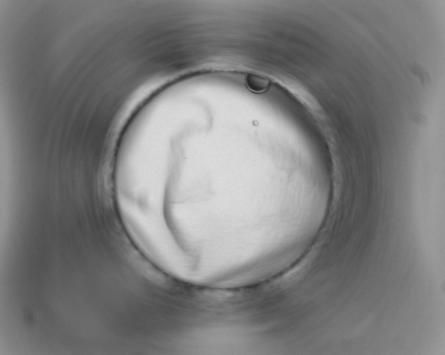 X0000113911248200910151411