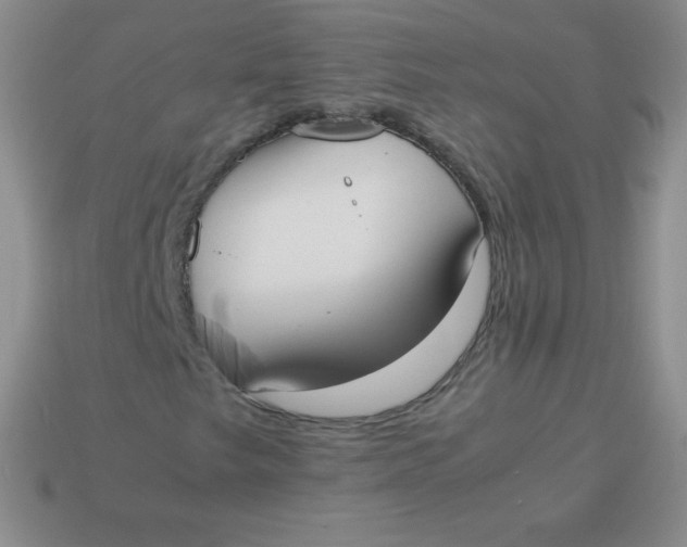 X0000113911249200910151410