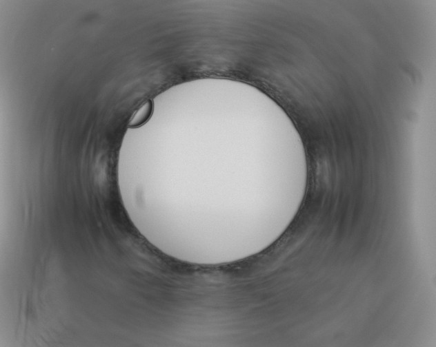 X0000113911250200910151410