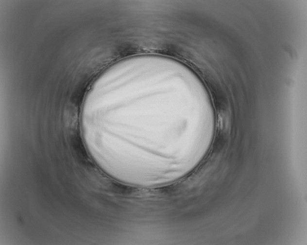 X0000113911251200910151410