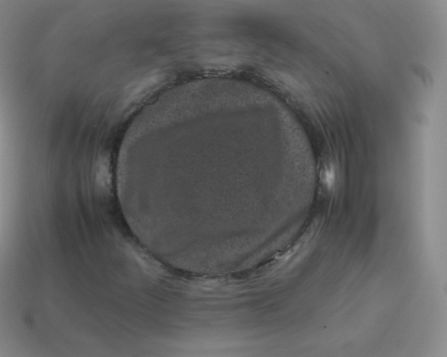 X0000113911252200910151410