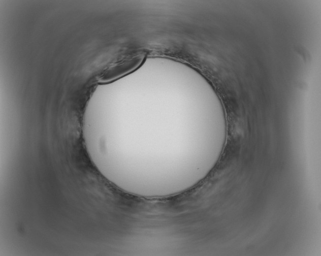 X0000113911253200910151410