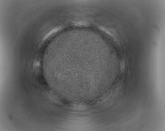 X0000113911254200910151410