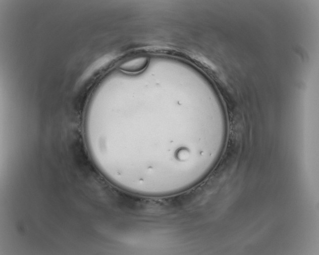 X0000113911255200910151410