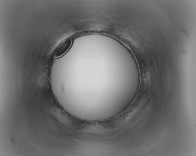 X0000113911256200910151410