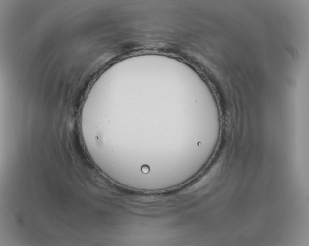 X0000113911257200910151410