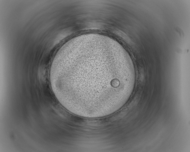 X0000113911258200910151410