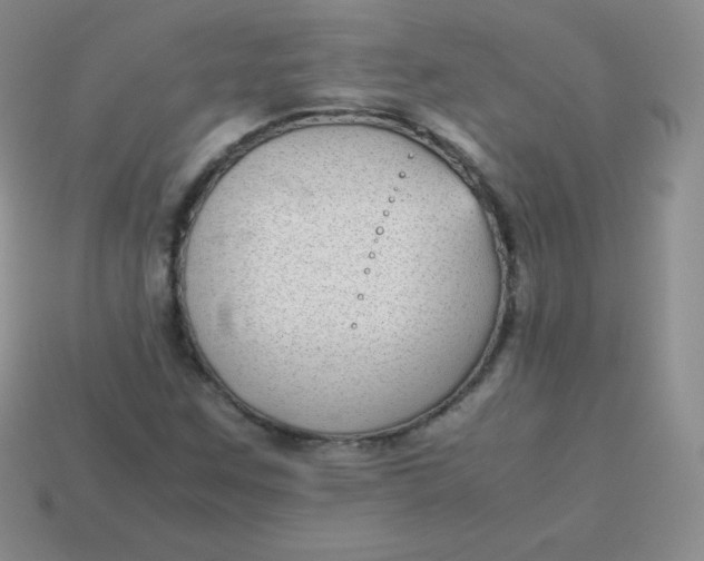 X0000113911259200910151410