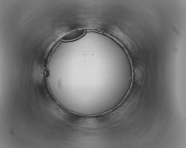 X0000113911260200910151410