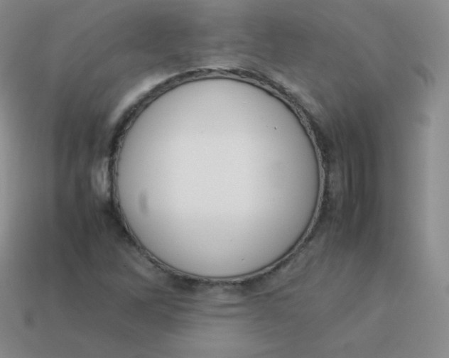 X0000113911262200910151410