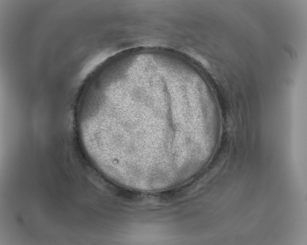 X0000113911263200910151410