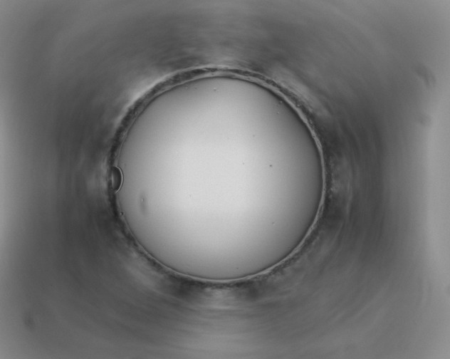 X0000113911264200910151410