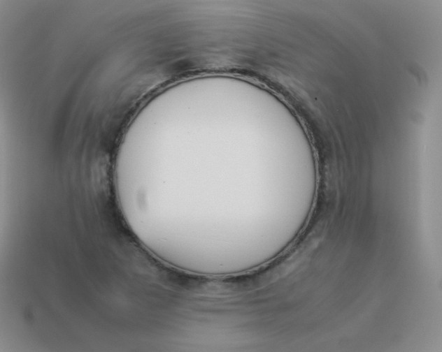 X0000113911265200910151410