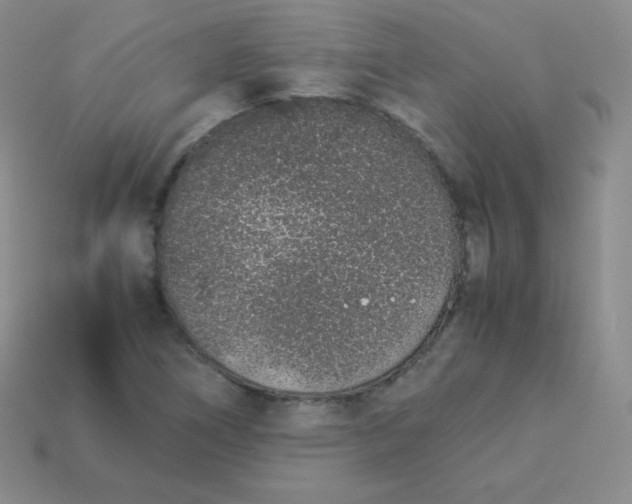 X0000113911266200910151410