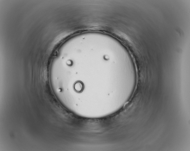 X0000113911267200910151410