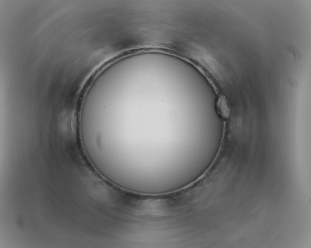 X0000113911268200910151410