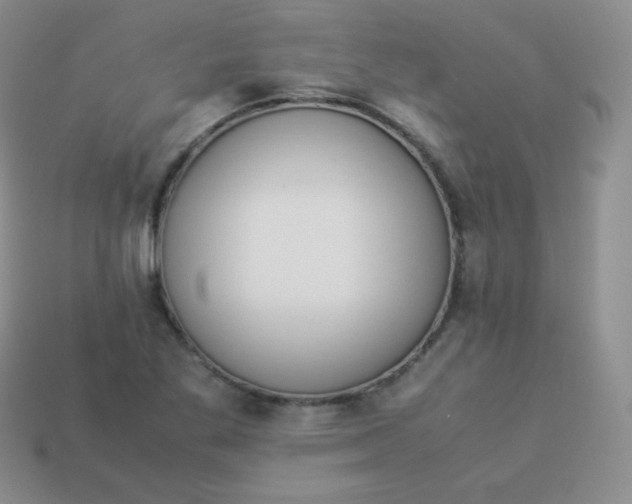 X0000113911269200910151410