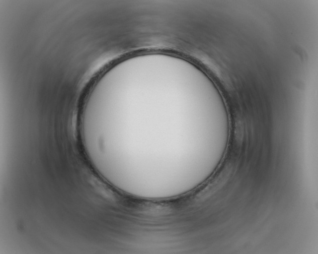 X0000113911270200910151410