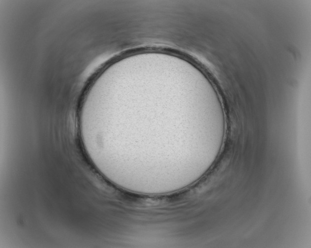 X0000113911271200910151410