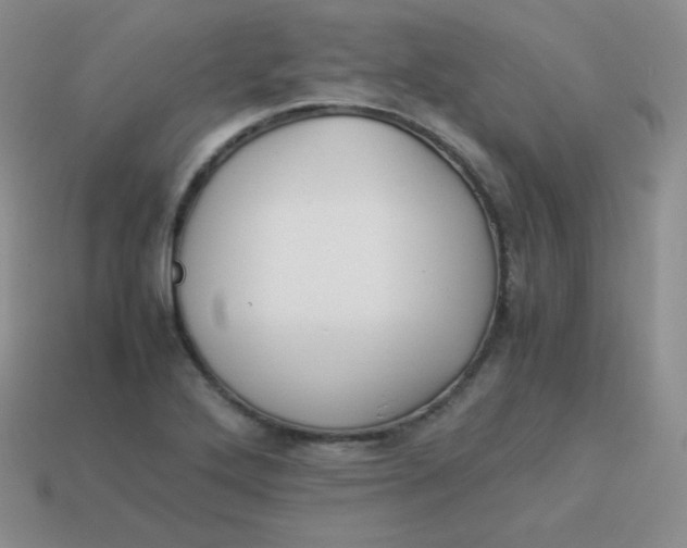 X0000113911272200910151410