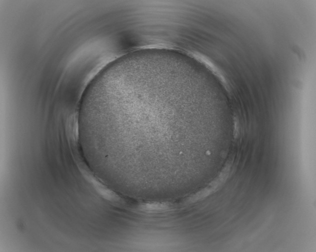 X0000113911274200910151410