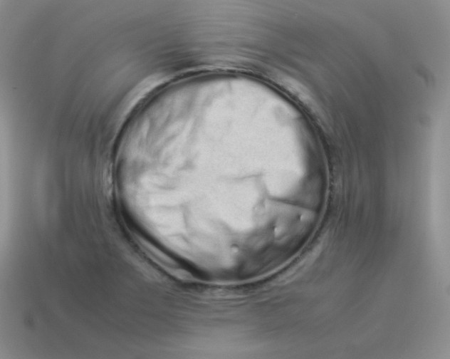 X0000113911275200910151410