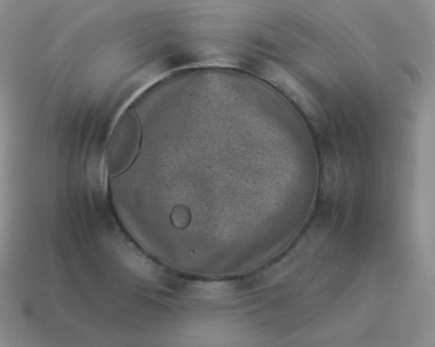 X0000113911276200910151410