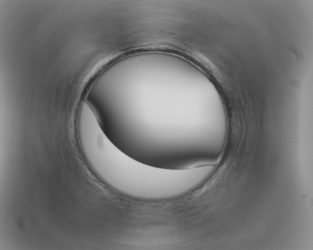 X0000113911277200910151410