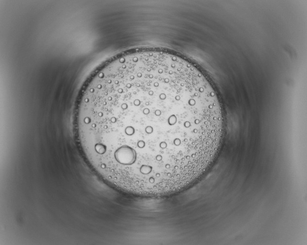 X0000113911278200910151410