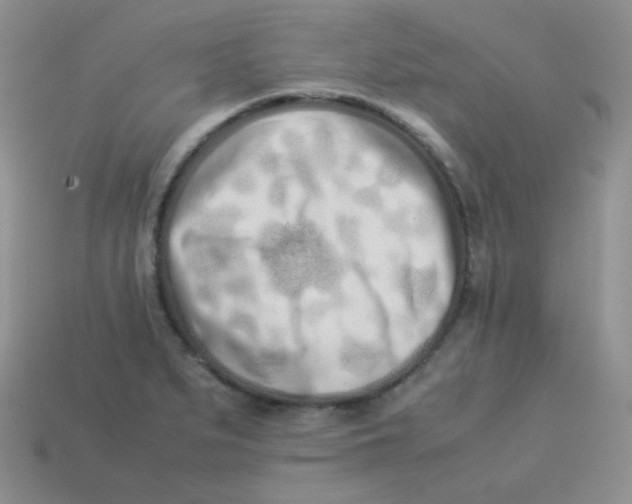 X0000113911279200910151410